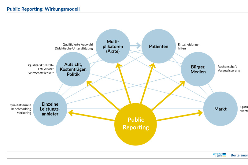 Public Reporting: Wirkungsmodell